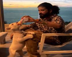 He is an animal lover and is brave enough to feed a lion cub.